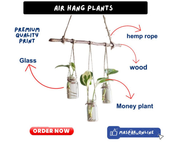 Hanging Plants Glass Vases Without Money Plants , Decor Style Hanging Plants Pots , Home Office Garden Decoration - Image 4