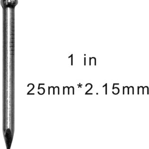 10pcs Taiwan Steel Nails 1" inches Hardened Nail
