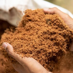 coco peat