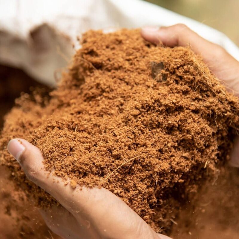 coco peat
