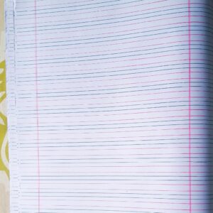 24 pic Loose Sheets for school Students and rough work (English: 4 - Lines), Paper Products/ Copier Paper, Premier Best Quality