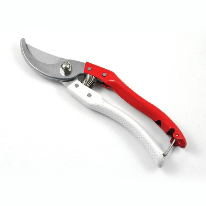 Highlights 1. Size: 8inches2. Material: sharp stainless steel blade3. colour: available in multi-colour 4. Application: use by gardeners for pruning small branches of tree/plant Normal Quality That's way Cheap price Material: High Carbon Steel Size: 210*65*15mm/8.27*2.56*0.59" Weight: 290g